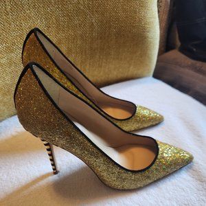 Sexy Bee! Steelers game day! J Crew Glitter Heels